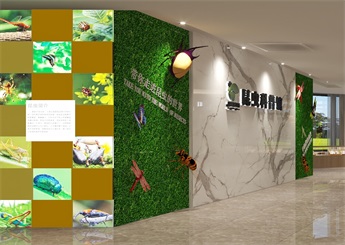 昆蟲科普館裝修設計案例效果圖